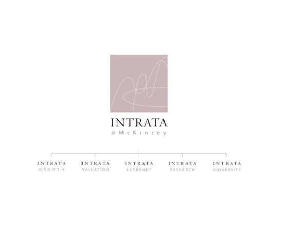 branding: McKinsey | Intrata